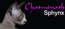conception du site internet Chatminath Cattery